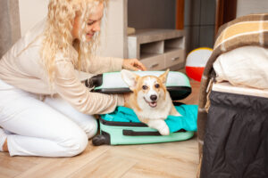 Guide to Pet Relocation from India